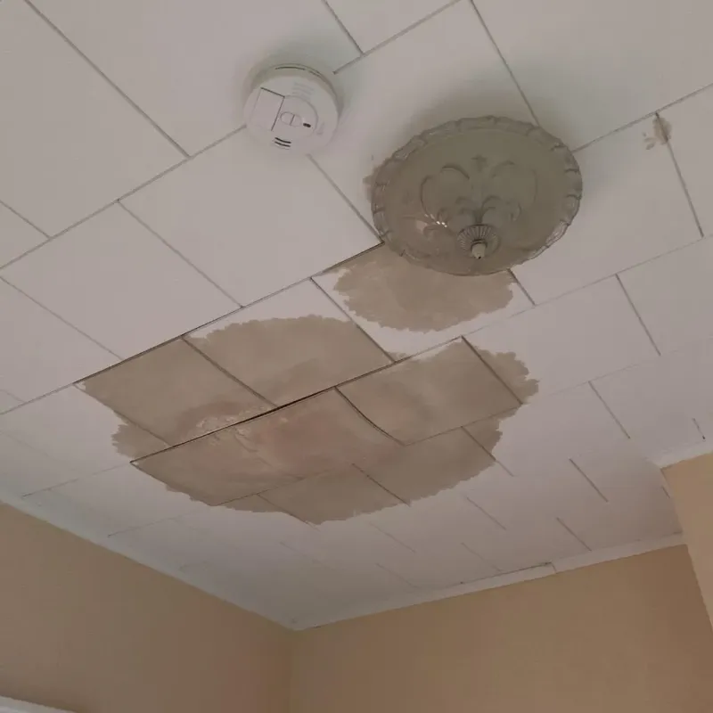 Ceiling Water Damage Repair in Tennille, GA