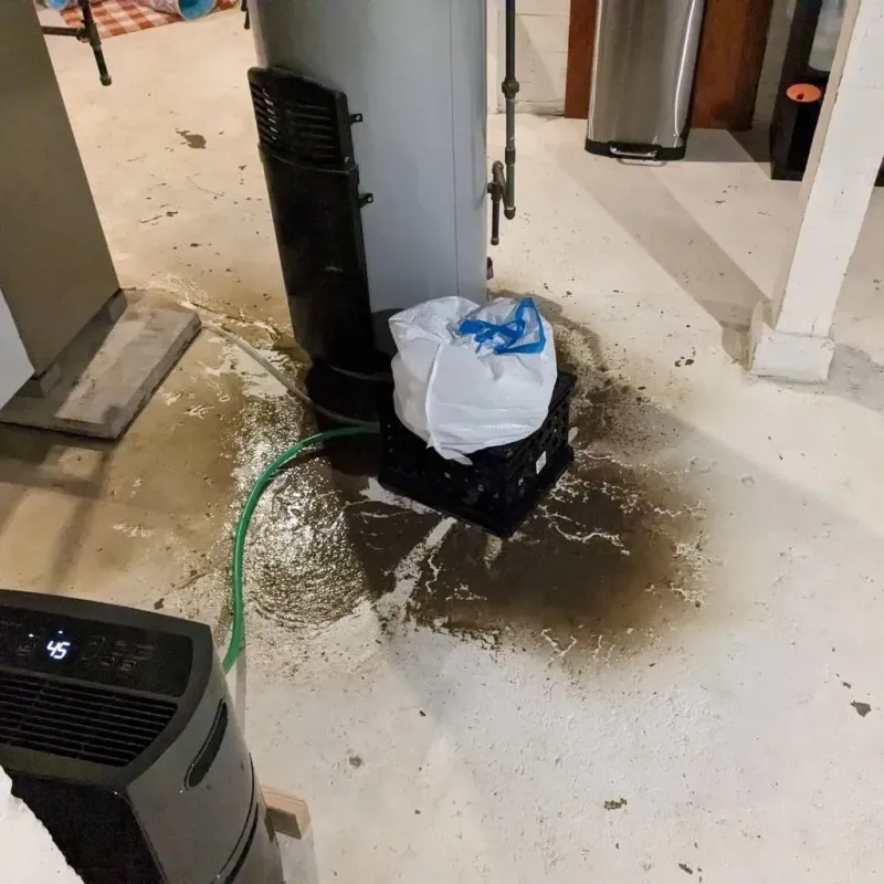 Sewage Backup Cleanup Service in Tennille, GA